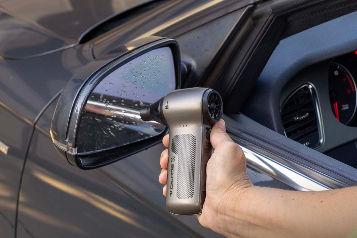 duster leaning car rear view mirror