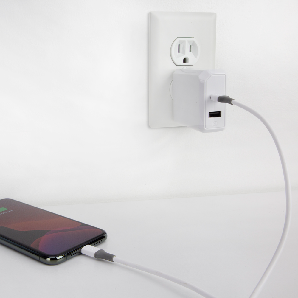 4ft. USB-C/Lightning Cable