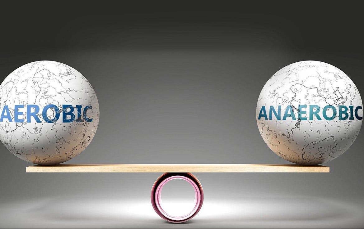 artistic representation showing balls labeled Aerobic and anaerobic on a piece of wood balancing on a ring