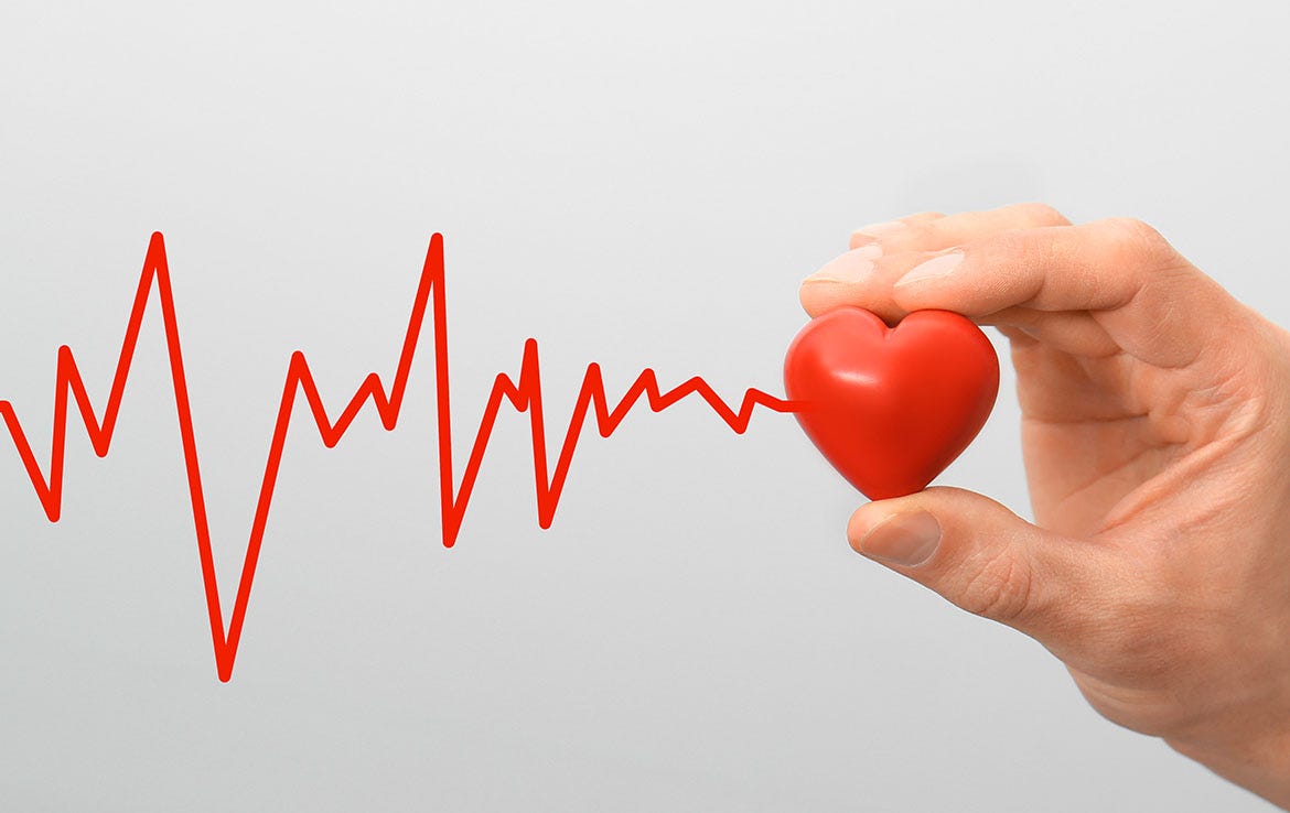 man holding miniature heart figurine with graphic of heart rate