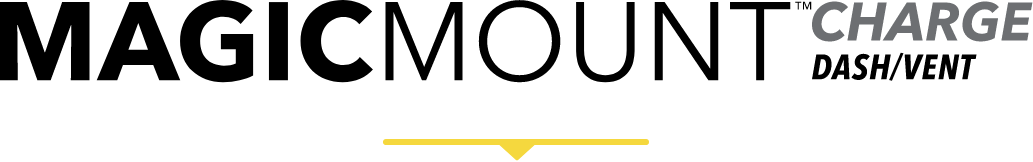 CDV_logo