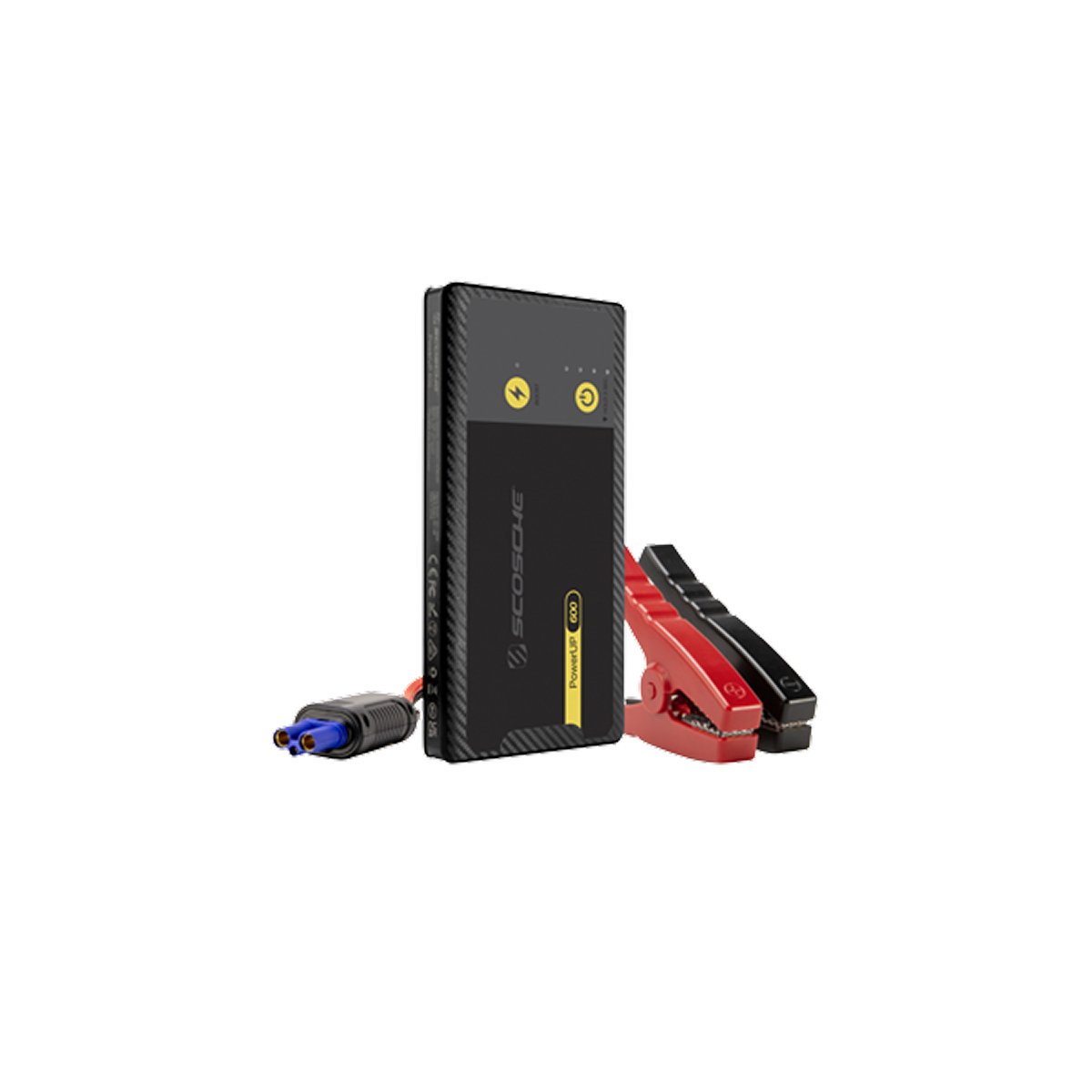 P101