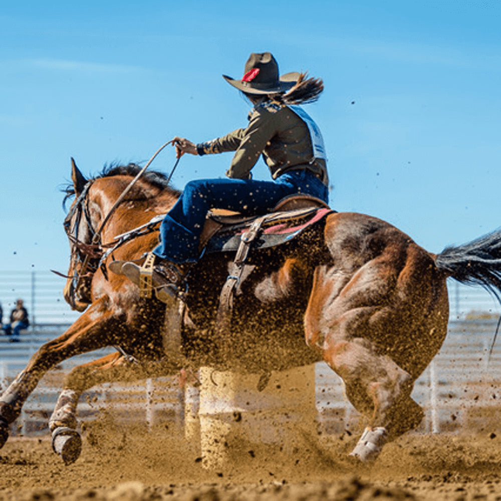 Pfieffer rides a muscular brown horse in a rodeo and is wearing blue jeans and an olive shirt.